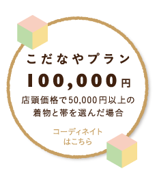 こだなやプラン100,000円